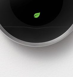 Understanding
 the Nest Leaf.