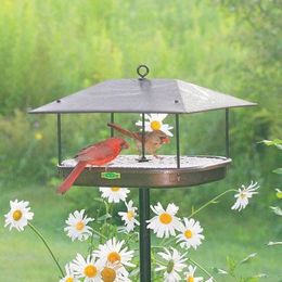 A Beginner’s Guide to Backyard Bird Feeding