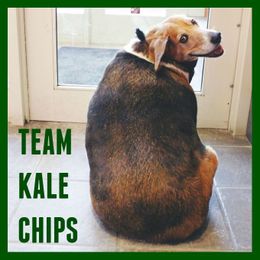 Join Team Kale Chips to Lose Weight and Support Animals