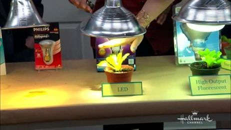 Shirley’s Plant Grow Lights