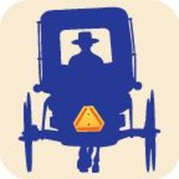 Ten Thousand Villages Home Decor, Café and Oriental Rugs