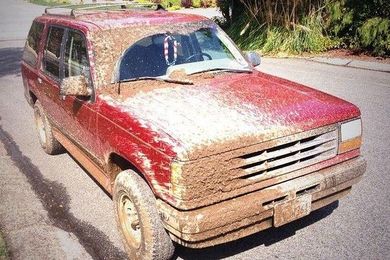 Car Owners Talk Dirty to Save Water 