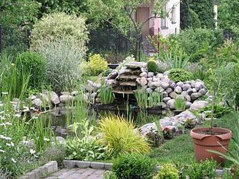 Garden Design: Building a Pond