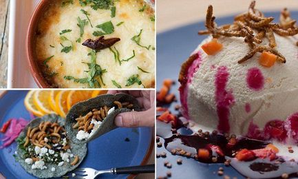 Would you eat cheesy grasshoppers and cricket rice cakes?