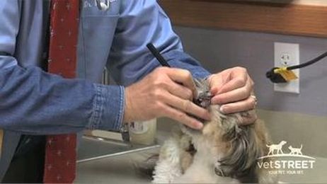 Why Good Oral Care Is Important