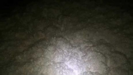 How to find out if you have critters in your attic