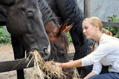 When Hay for Your Horses Just Isn’t Enough