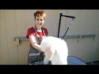 How to Keep Your Pet's Coat Long and Fluffy