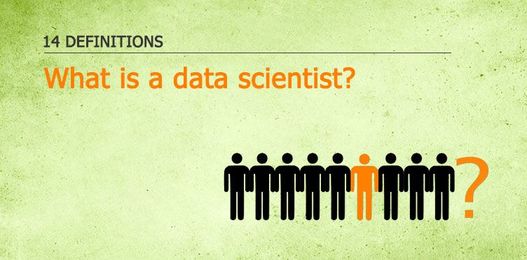 What is a data scientist? 14 definitions of a data scientist!