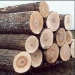 Red Oak Lumber Plentiful Amid Flooring Industry Slowdown