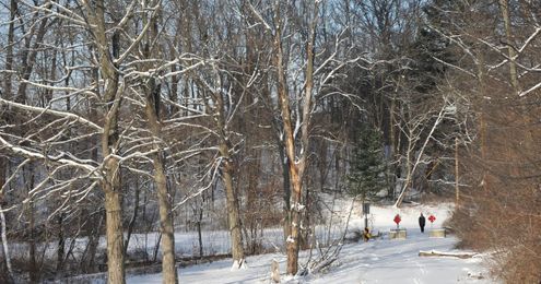 Extreme cold is on the doorstep: tips to stay safe