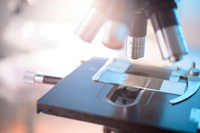 Researchers identify materials to improve biofuel and petroleum processing