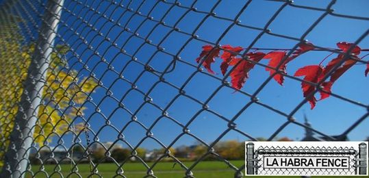 How to Jazz up Landscape around Your Chain Link Fence