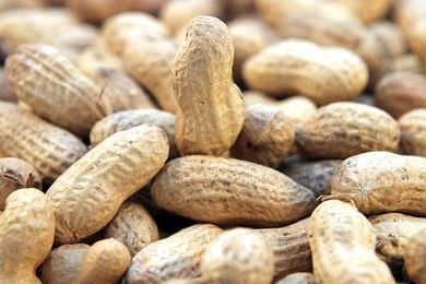 About-Face on Preventing Peanut Allergies