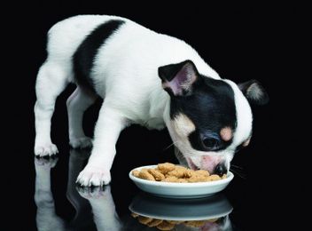 Food Follows Human Trends