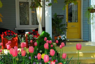 Prepping Your Home for the Spring Bloom from American Dream Realty