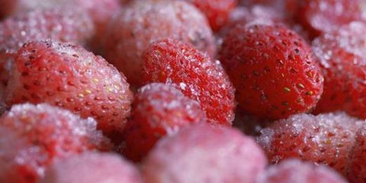 Guide to Freezing Food