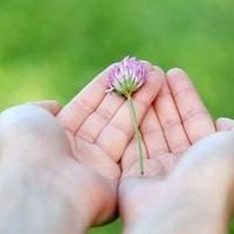 Asking for Help Is Giving a Gift