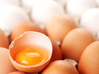 To egg or not to egg, that is the question