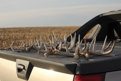 15 Must-Read Shed Hunting Resources