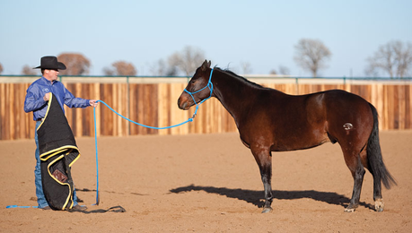 5 Tips to Stop the Spooking Horse
