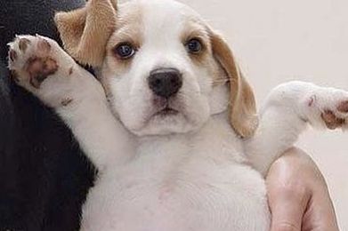 Can You Get Through This Post Without Tickling Your Screen?