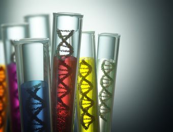 Specific Genetic Pathways Determinant for Cystic Fibrosis Severity