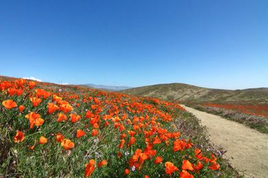 Spring Forward: 10Best Things To Do With Your Extra Hour of Daylight