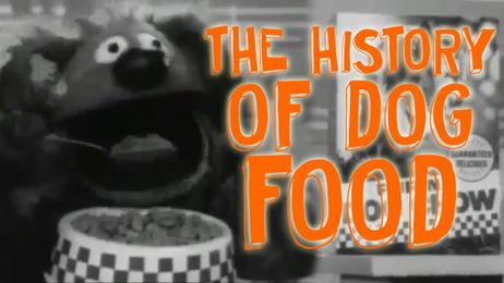 The Bite-Sized History of Dog Food