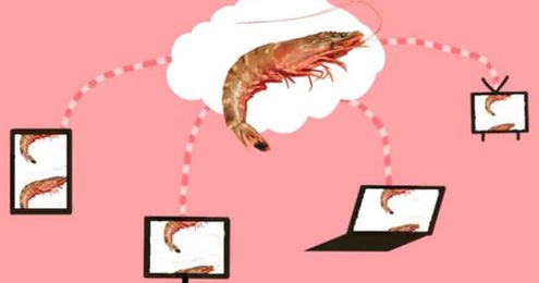 The Shrimp Cloud might be the weirdest @Kickstarter project ever