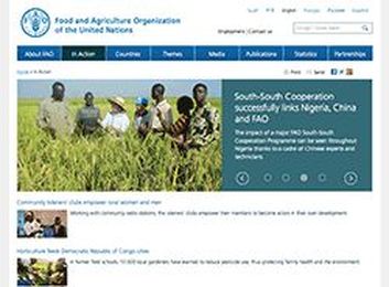 Food loss or food waste? Anything but the same, says FAO expert