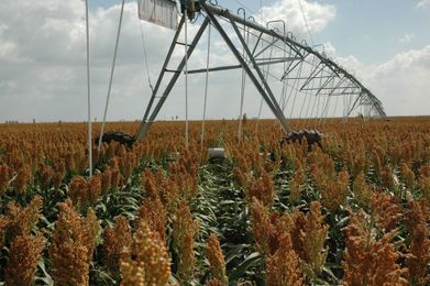 Tips for effective and efficient crop water use