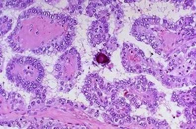 Can You Identify This Structure?