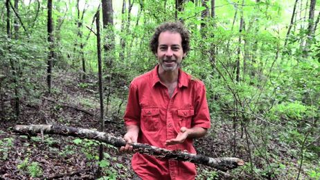 Medicinal Mushrooms with Alan Muskat