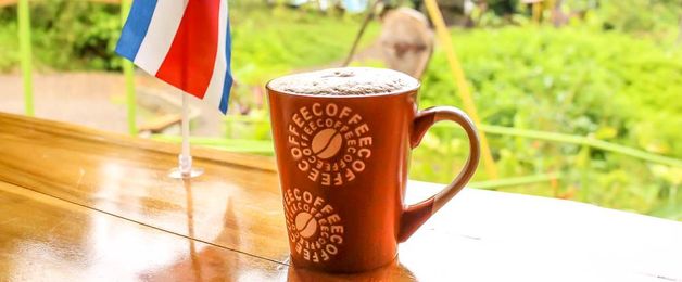Drake Bay Cafe Review