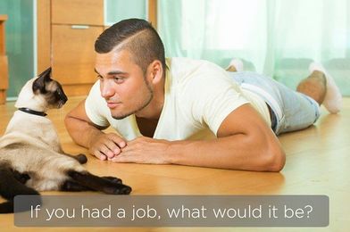 21 Questions You Wish You Could Ask Your Pet
