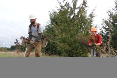 From nursery to natural area: What it takes for 500,000 native plants to go into the ground