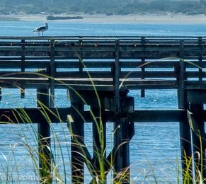 Is Your Action Step Clear?