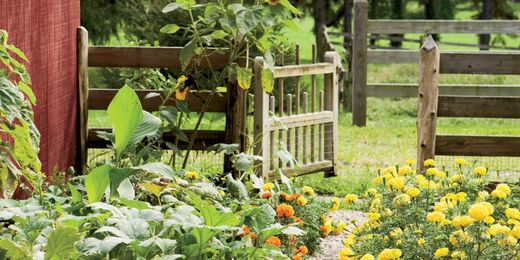 17 Signs You Live in the Country