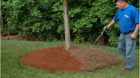 Water-Based Color Concentrate Can Freshen Landscapes