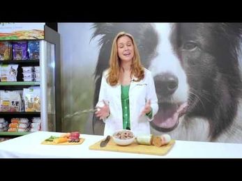 How to Improve Your Pet's Skin and Coat Health