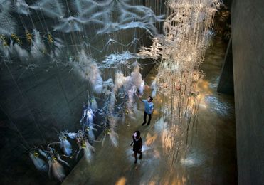 The Future of Neuro-Architecture Has Arrived