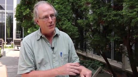 How to deal with a bee sting