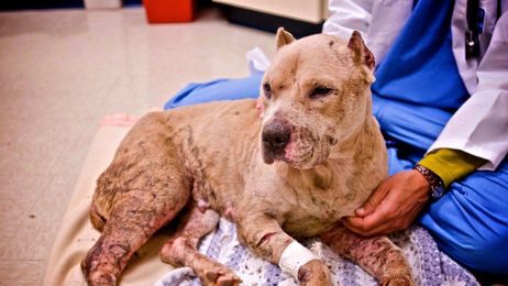 There still may be hope, but we have to keep calling them!