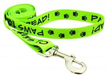 12 Great Pet Products