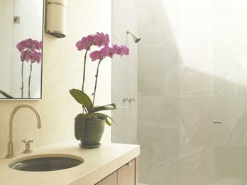 The potentially harmful effects of mold in your home