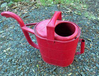 Reacquaint yourself with the watering can