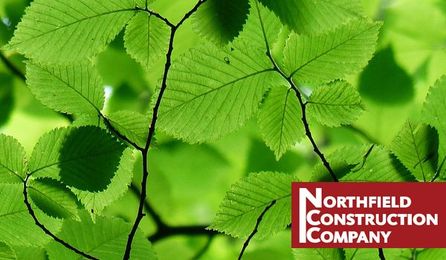 Five Simple Nature-Inspired Remodels