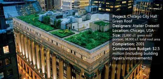 How The Chicago City Hall Green Roof is Greening the Concrete Jungle