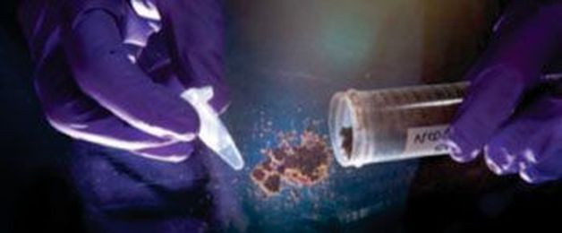 New Metagenomics Analysis Tool Reduces False Discovery Rates  